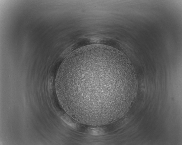 X0000080730275200612221300