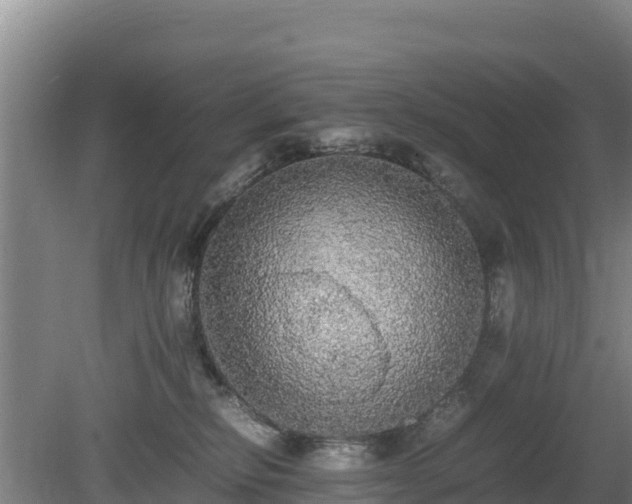 X0000080730278200612221301