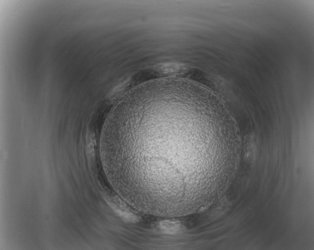 X0000080730279200612221301