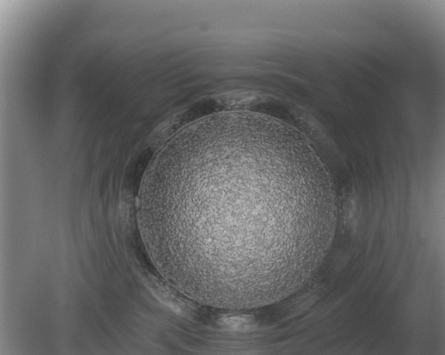 X0000080730283200612221301