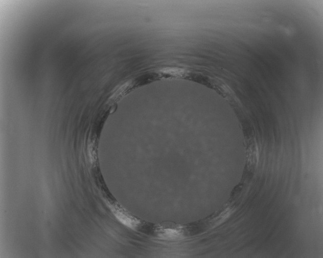 X0000080730285200612221301