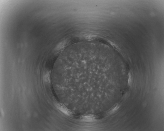 X0000080730286200612221301