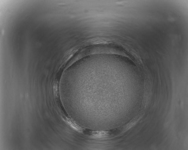 X0000080730288200612221301