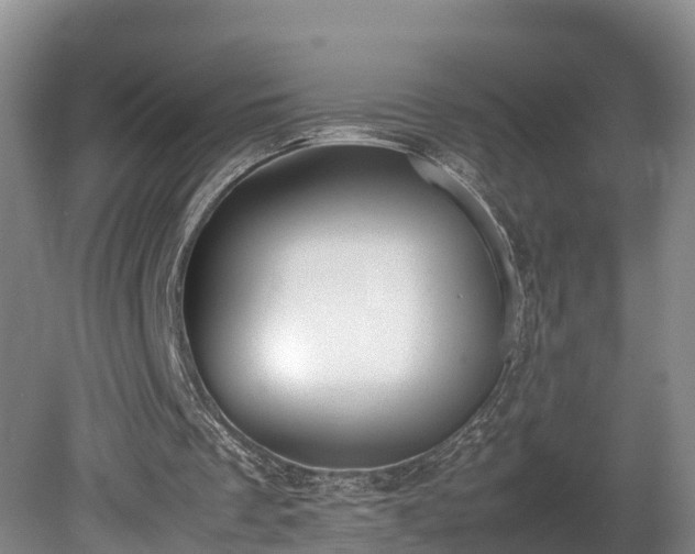 X0000080730289200612221300