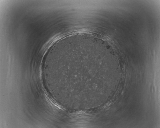 X0000080730290200612221300