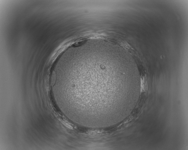 X0000080730291200612221300