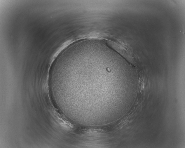 X0000080730292200612221300