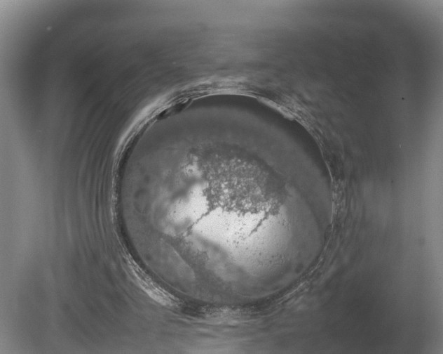 X0000080730293200612221300