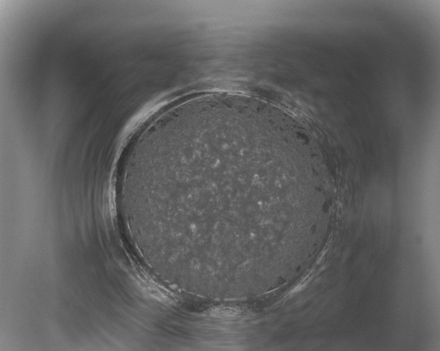 X0000080730294200612221300