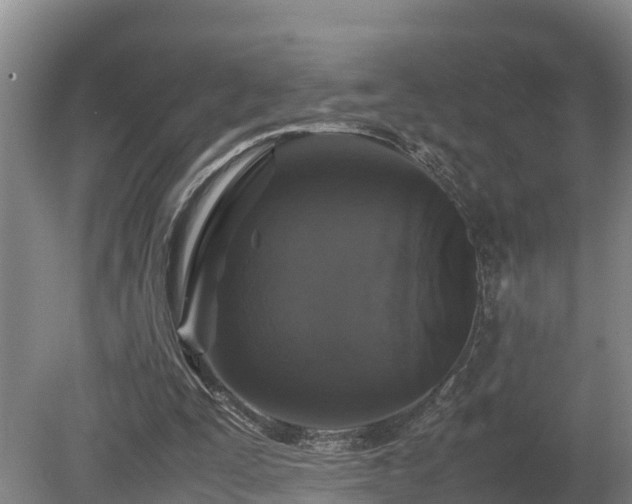 X0000080730295200612221300