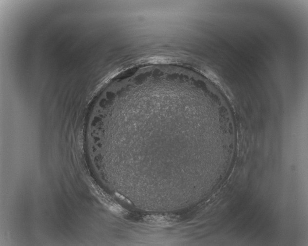 X0000080730297200612221300