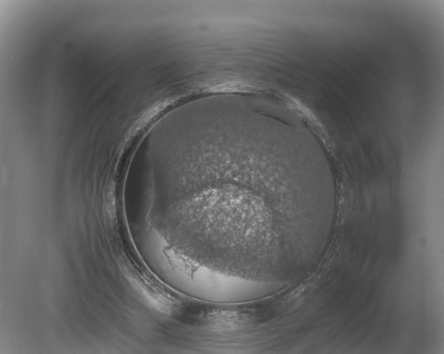 X0000080730298200612221300