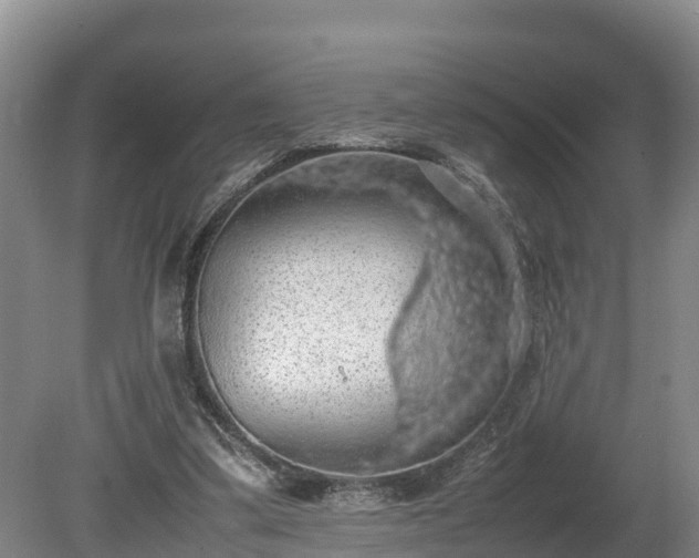 X0000080730299200612221300