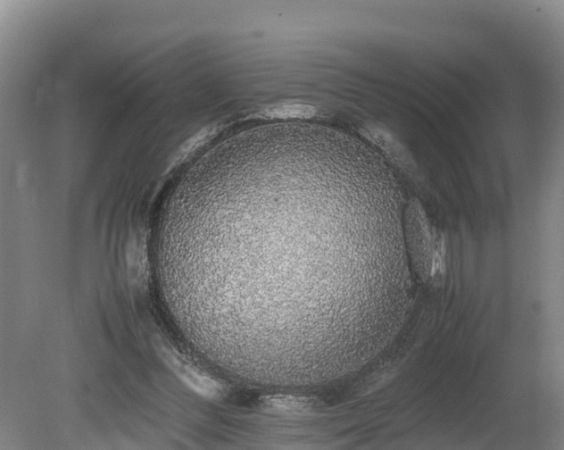 X0000080730300200612221300