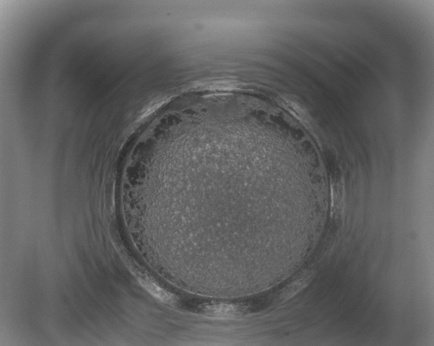 X0000080730301200612221300