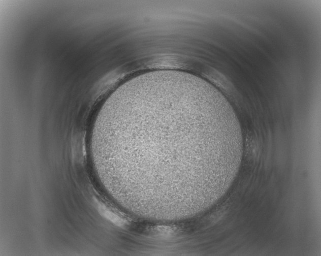 X0000080730302200612221300