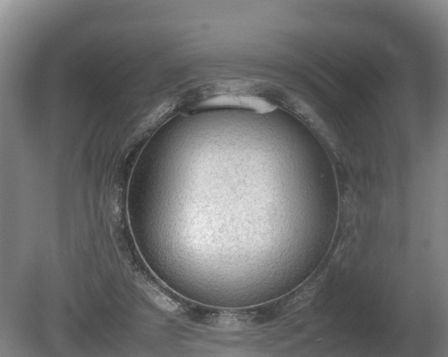 X0000080730305200612221300