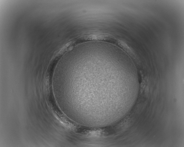 X0000080730306200612221300