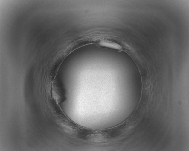 X0000080730307200612221300