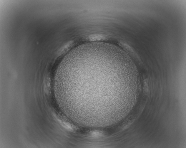 X0000080730308200612221300