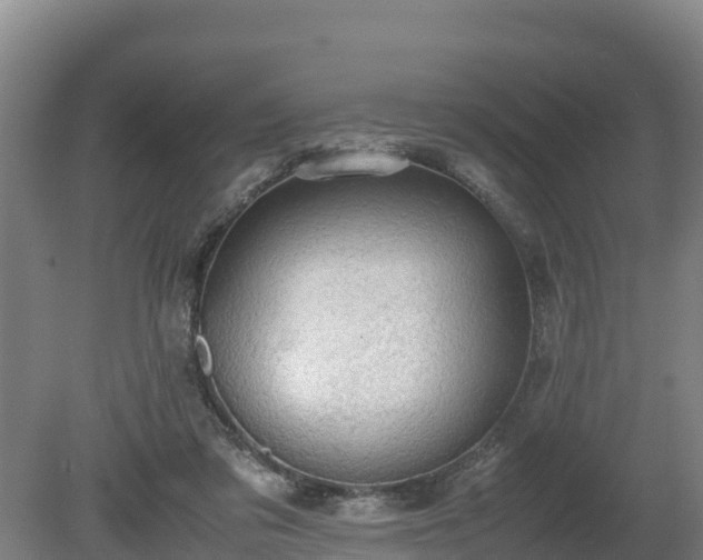 X0000080730309200612221300