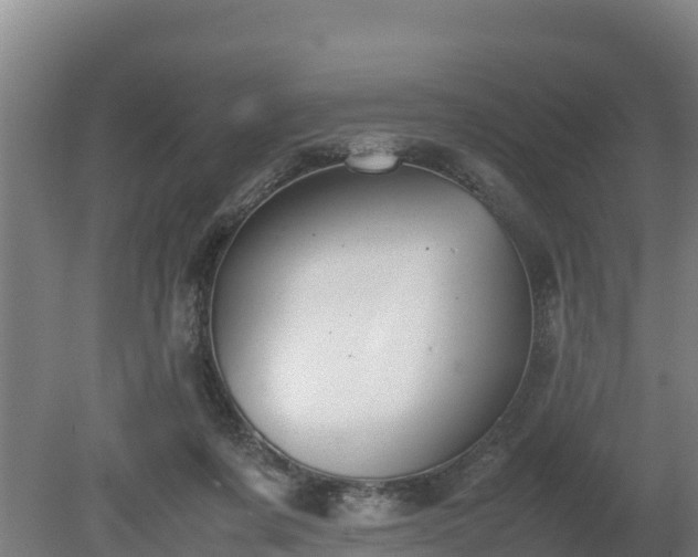 X0000080730311200612221300