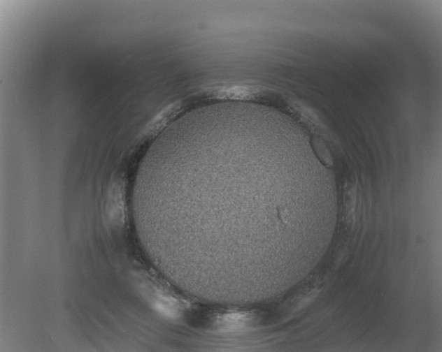 X0000080730312200612221300