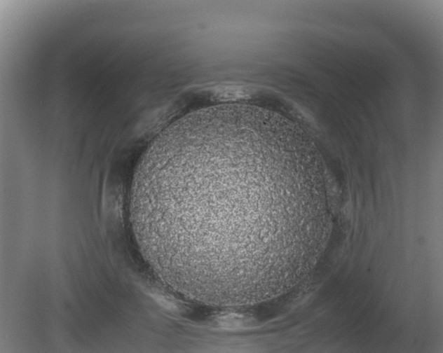 X0000080730315200612221259