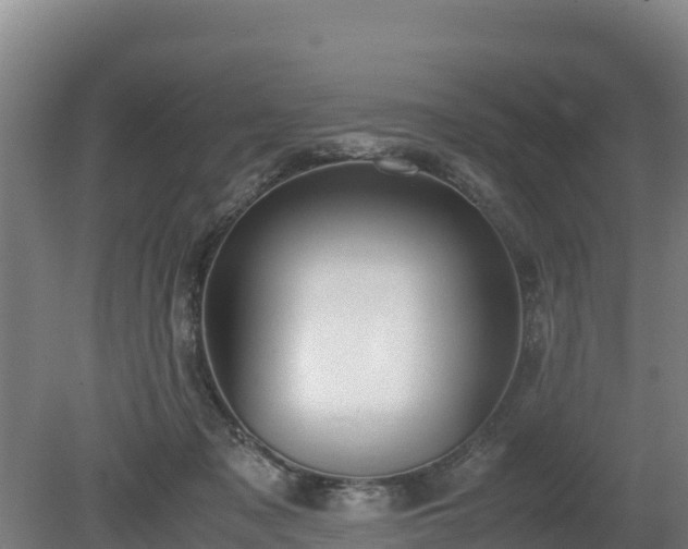 X0000080730317200612221259