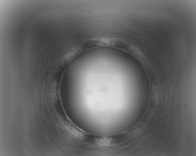 X0000080730318200612221259