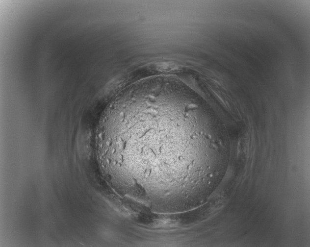 X0000080730319200612221259