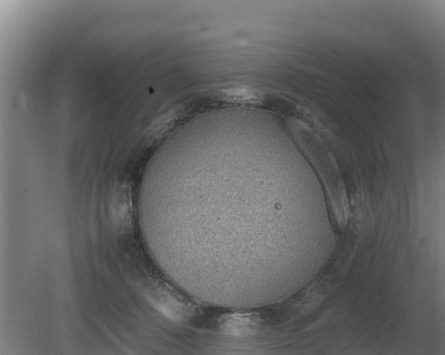 X0000080730320200612221259