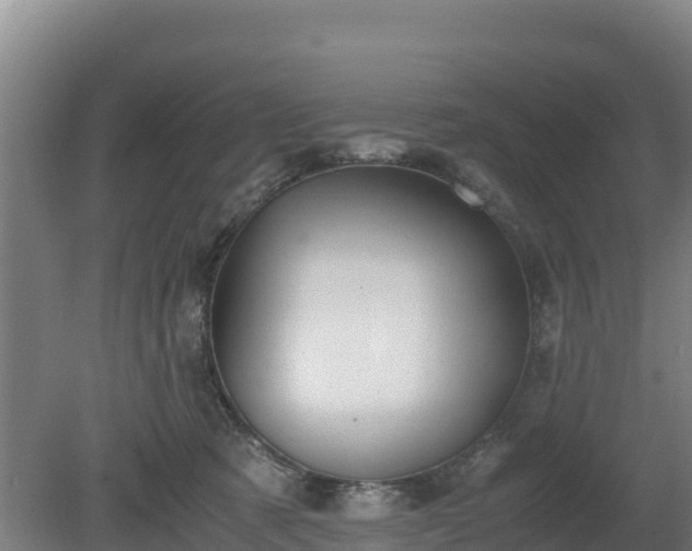 X0000080730321200612221259