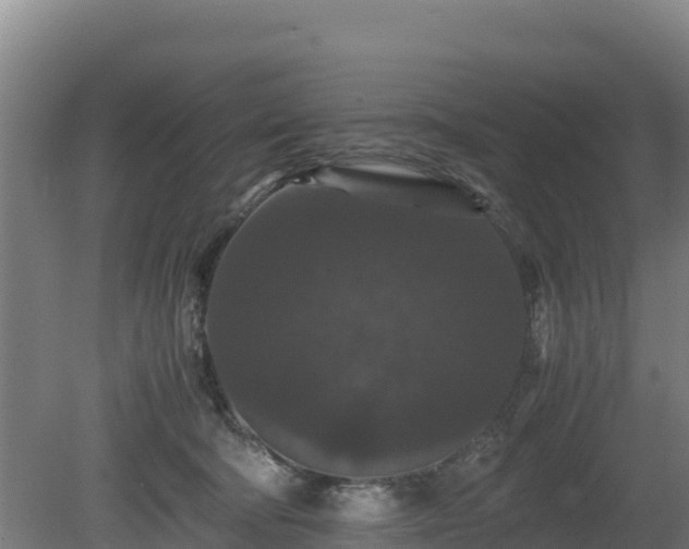 X0000080730322200612221259