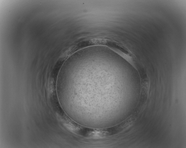 X0000080730323200612221259