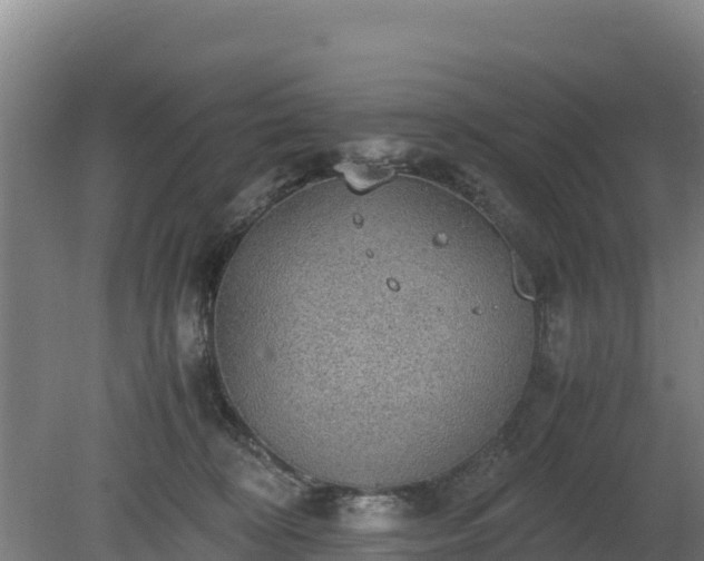 X0000080730324200612221259