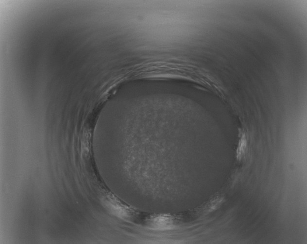 X0000080730325200612221259