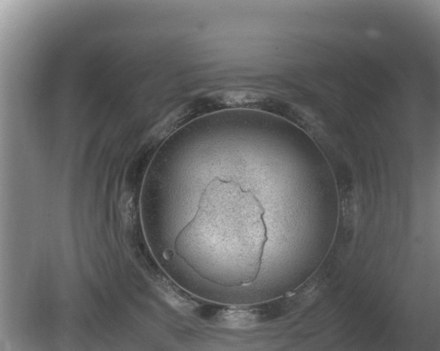 X0000080730327200612221259