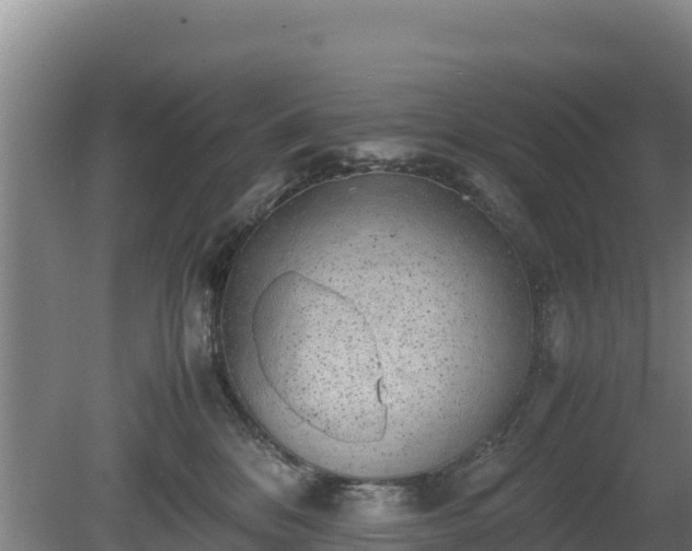 X0000080730328200612221259