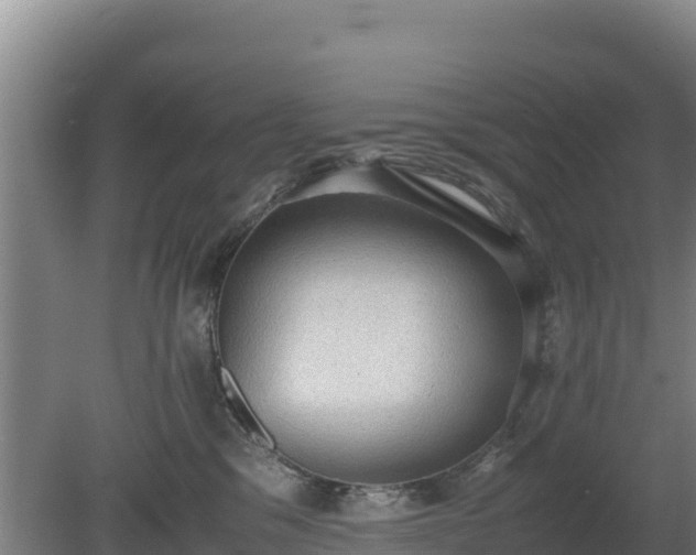 X0000080730329200612221259