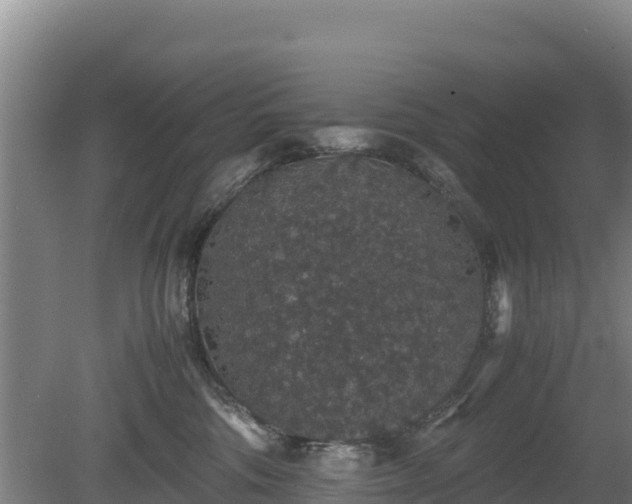 X0000080730330200612221259