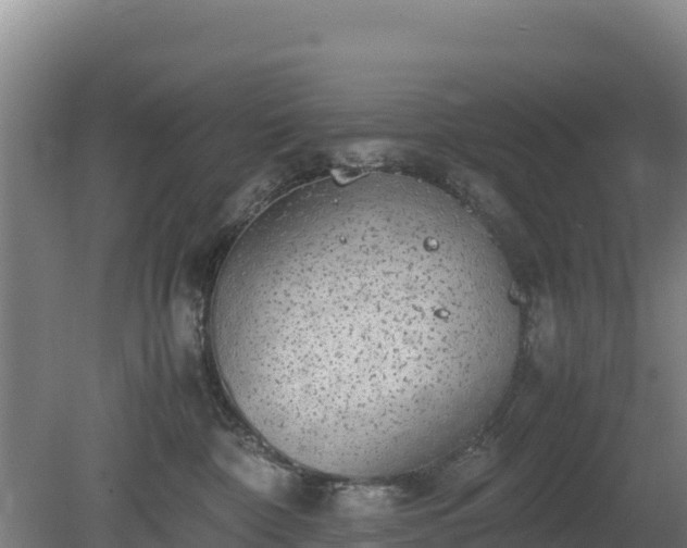 X0000080730332200612221259