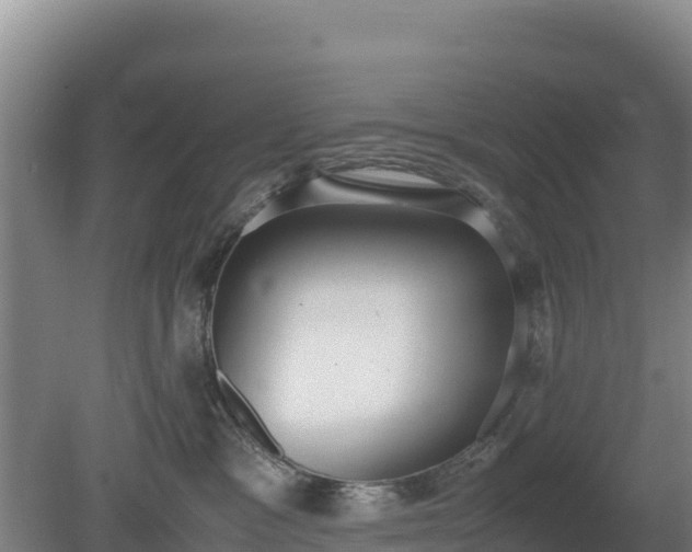 X0000080730333200612221259