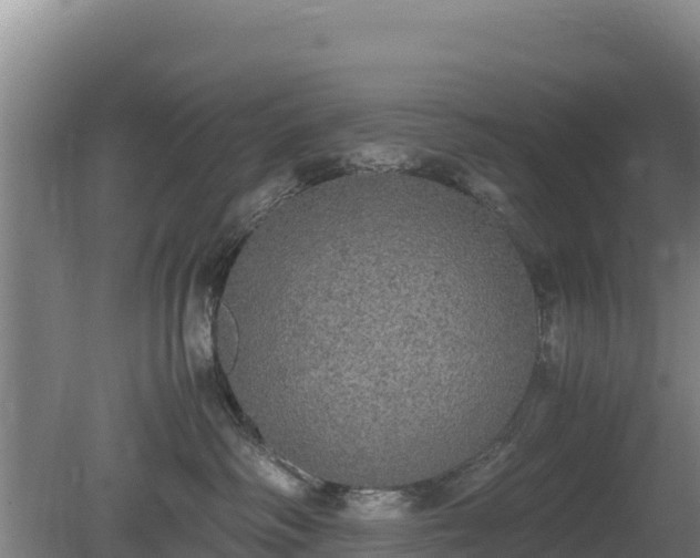 X0000080730334200612221259