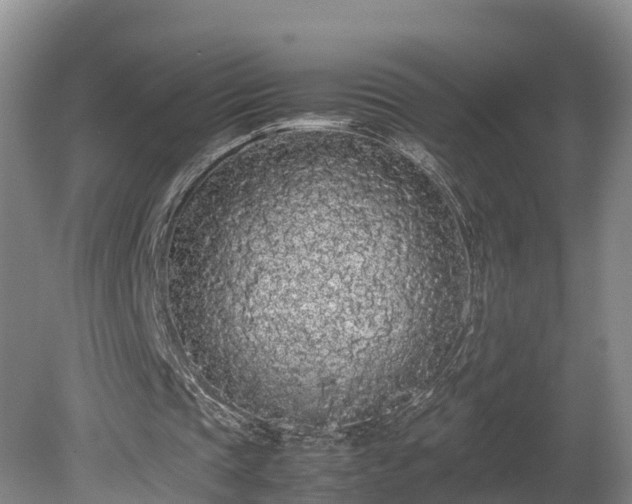 X0000080730337200612221258