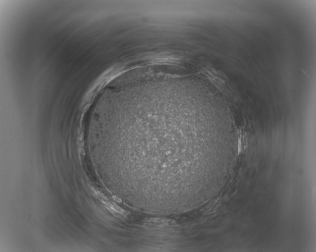 X0000080730339200612221258