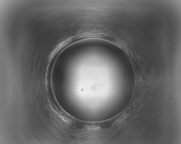 X0000080730340200612221258