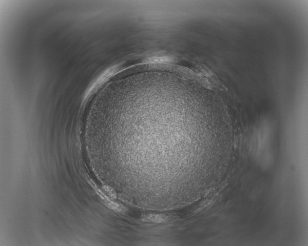 X0000080730341200612221258