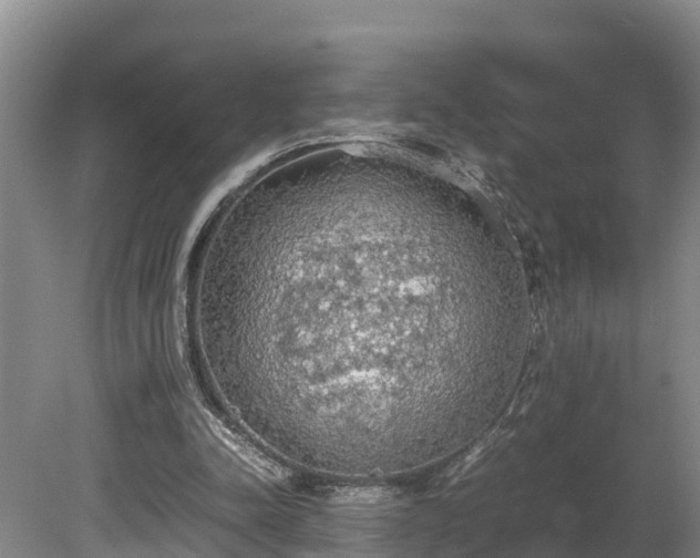 X0000080730342200612221258