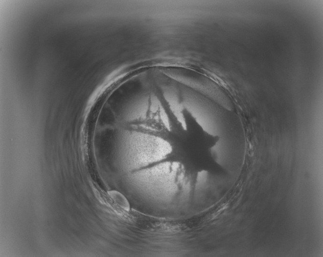 X0000080730343200612221258